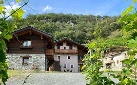 Maison D'hôtes La Vrille - Chambres D'hotes À