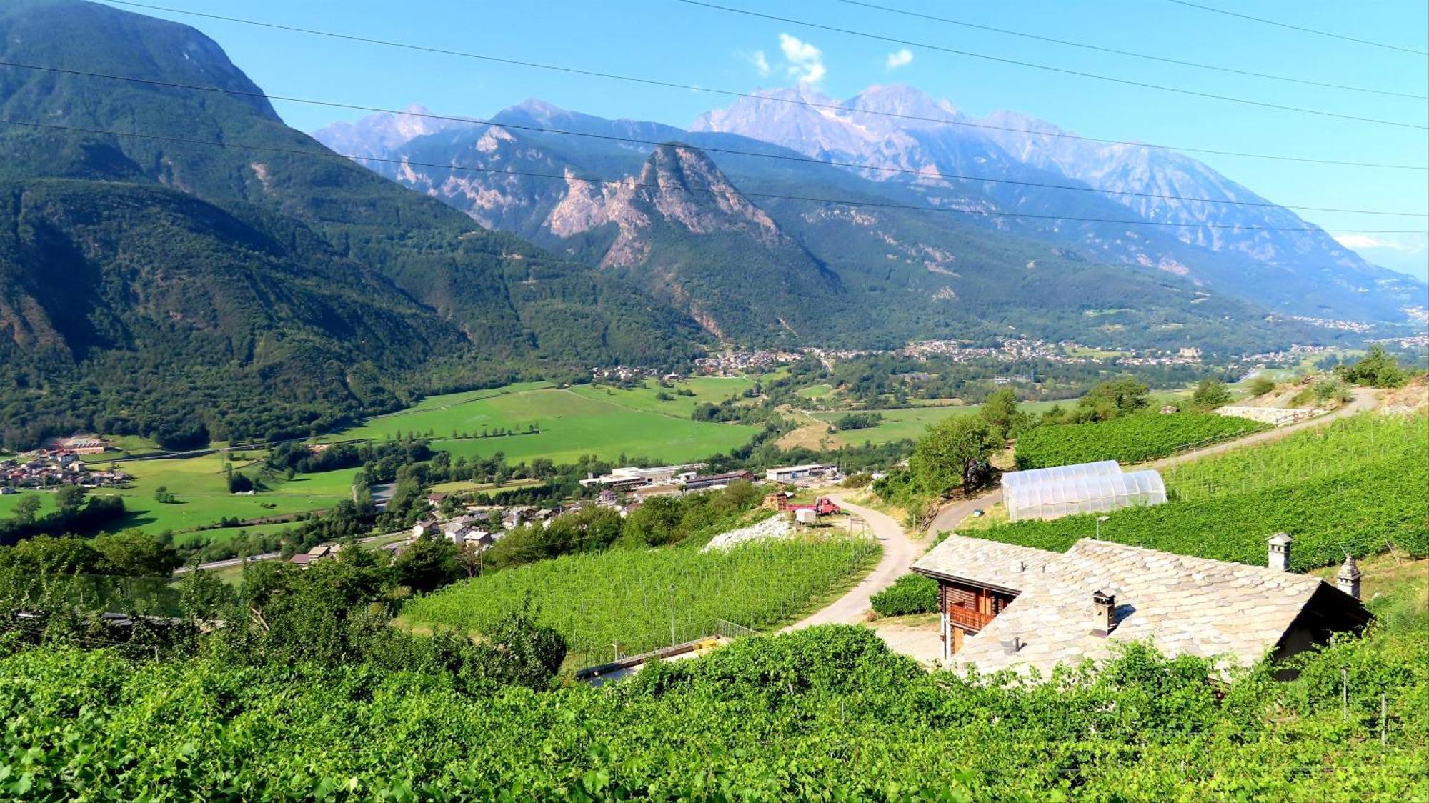 La Vrille - Chambres D'Hotes Verrayes Extérieur photo