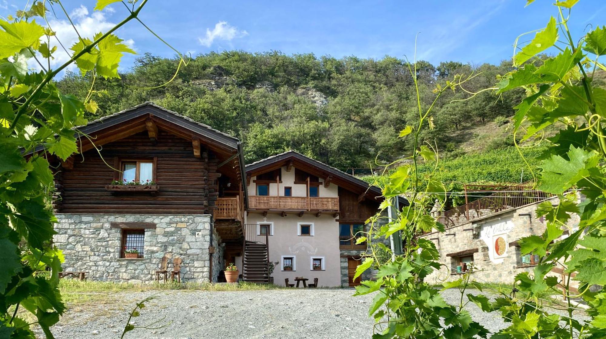 La Vrille - Chambres D'Hotes Verrayes Extérieur photo