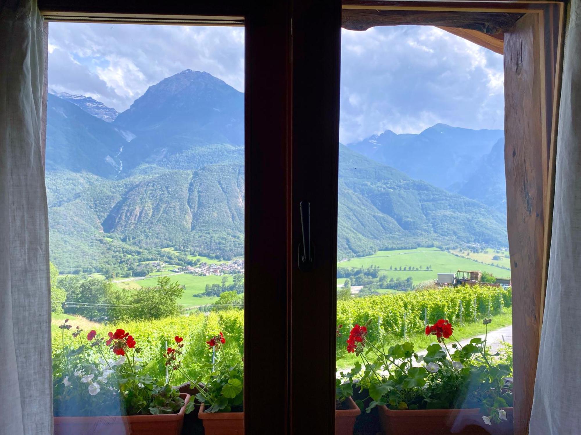 La Vrille - Chambres D'Hotes Verrayes Extérieur photo